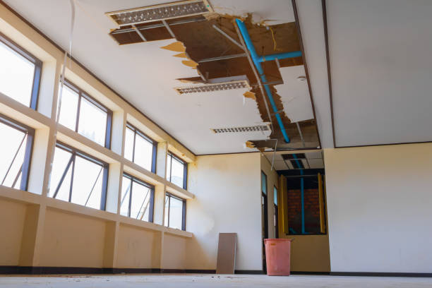  Monroe, LA Water damage restoration Pros