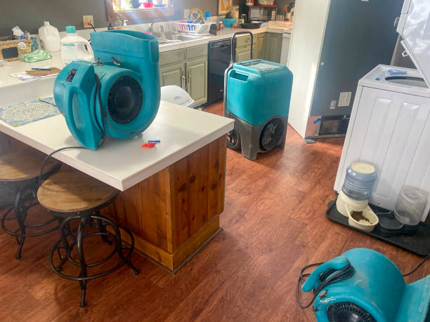 Water damage restoration insurance claims in Monroe, LA
