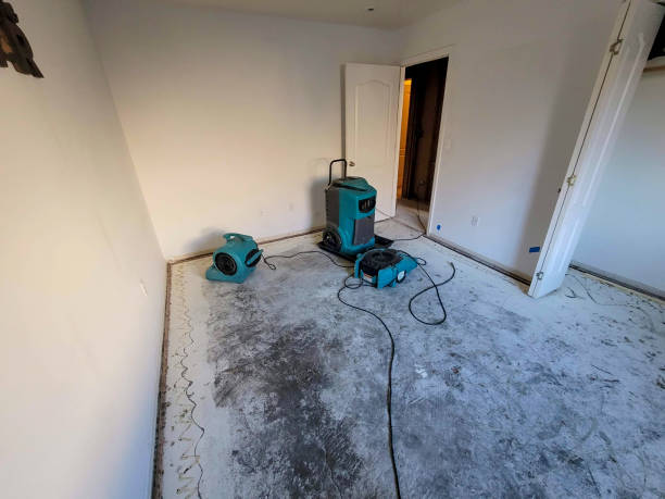 Best Flooded house restoration  in Monroe, LA