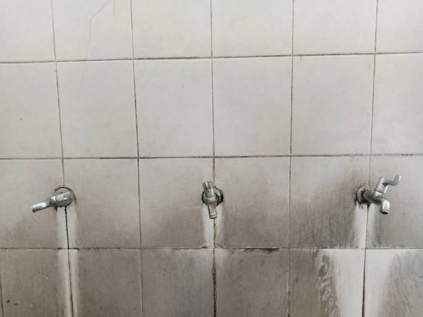 Best Basement water damage restoration  in Monroe, LA