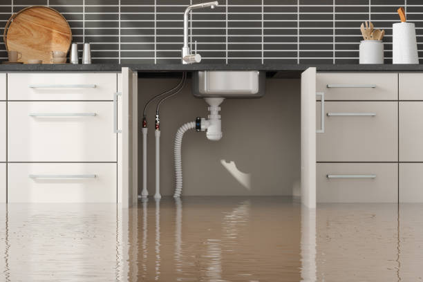 Best 24/7 water damage repair  in Monroe, LA