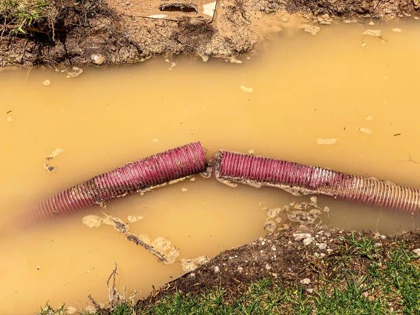 Best Sewage cleanup and water damage restoration  in Monroe, LA